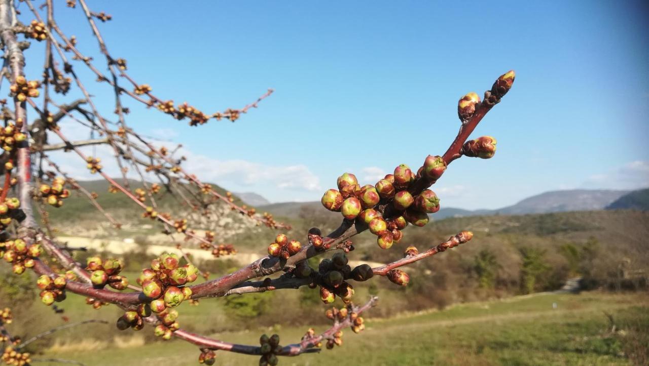 EyrolesPie Des Ayrolis别墅 外观 照片